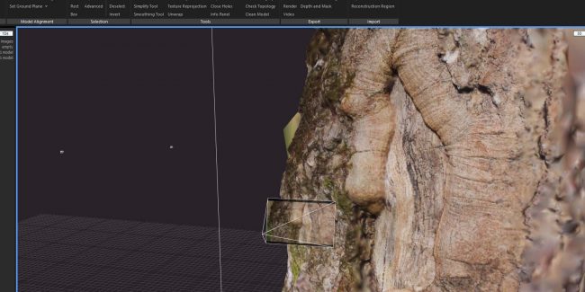 RealityCapture